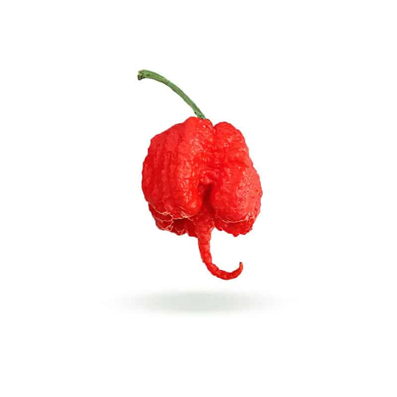 carolina-reaper