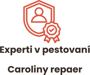 Experti